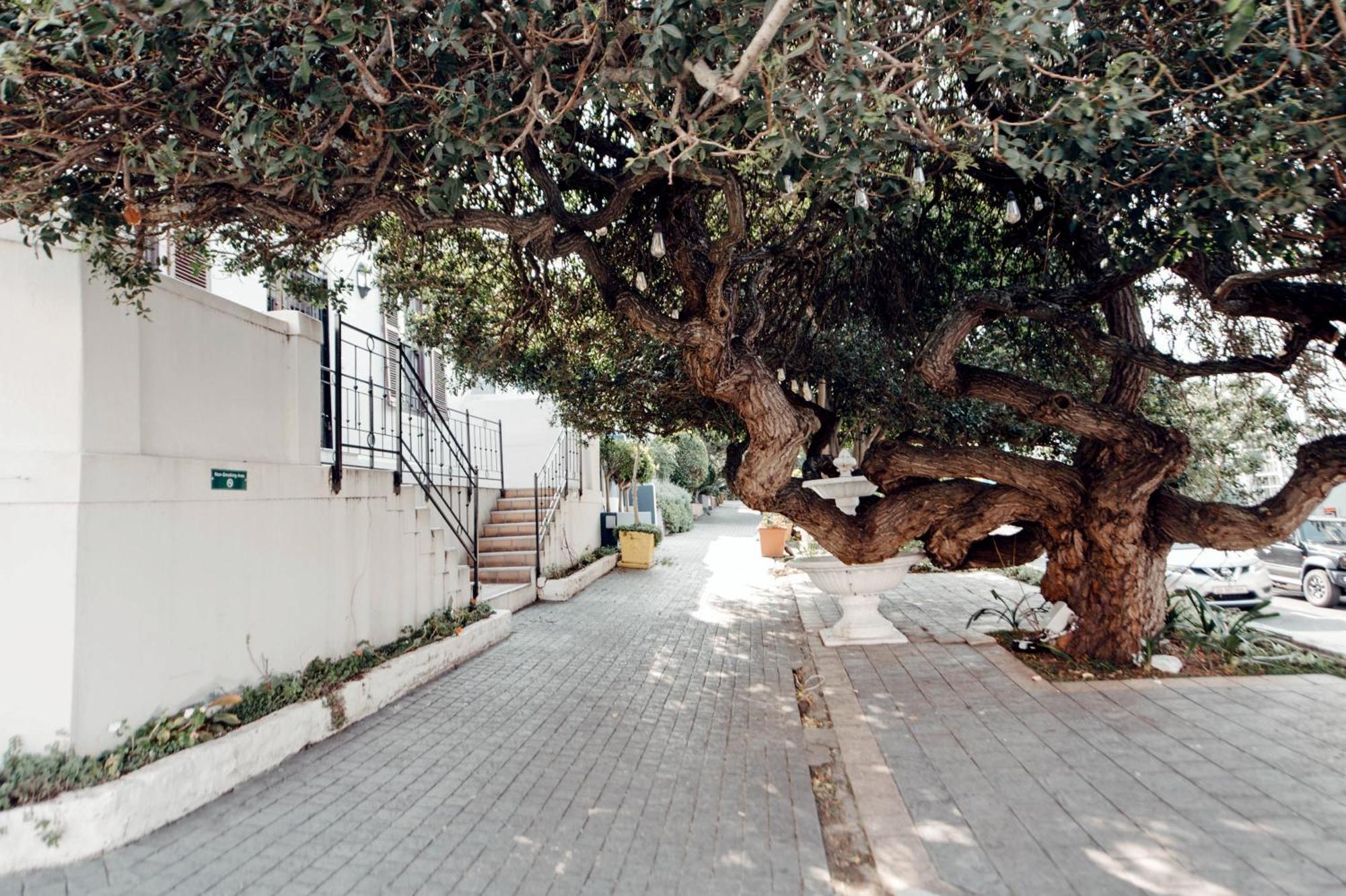 De Waterkant With Cape Finest Apartment Kapstadt