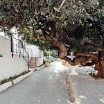 De Waterkant Apartments With Cape Finest